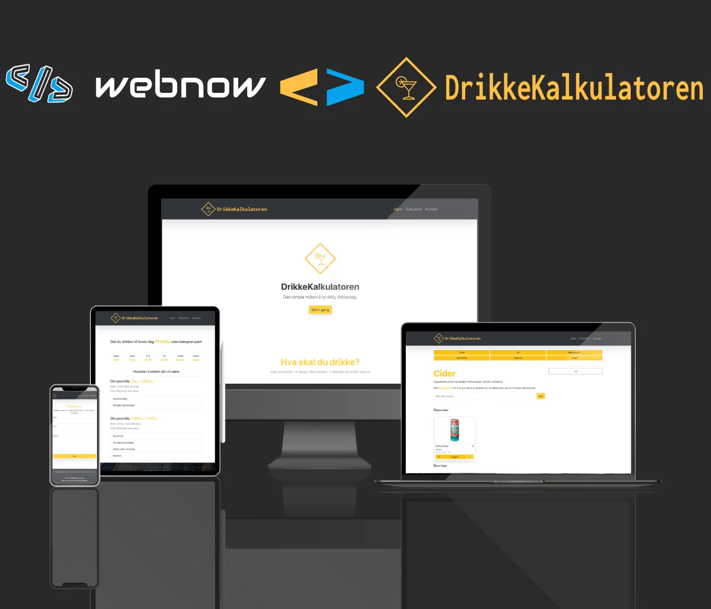 Nettside til DrikkeKalkulatoren fra Webnow.no